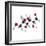 Glucose Sugar Molecule-Science Photo Library-Framed Premium Photographic Print