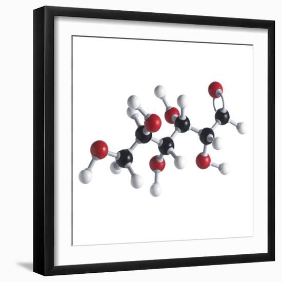 Glucose Sugar Molecule-Science Photo Library-Framed Premium Photographic Print