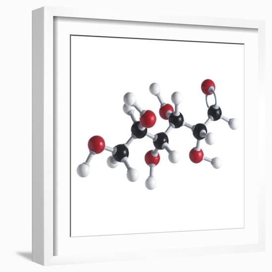 Glucose Sugar Molecule-Science Photo Library-Framed Premium Photographic Print