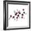 Glucose Sugar Molecule-Science Photo Library-Framed Premium Photographic Print