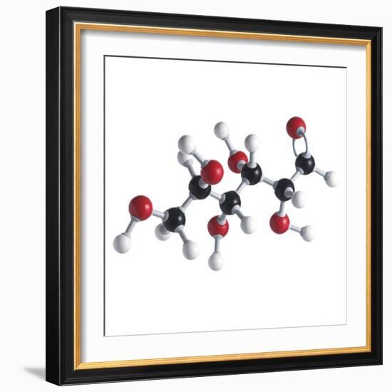 Glucose Sugar Molecule-Science Photo Library-Framed Premium Photographic Print