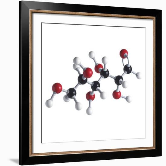 Glucose Sugar Molecule-Science Photo Library-Framed Photographic Print