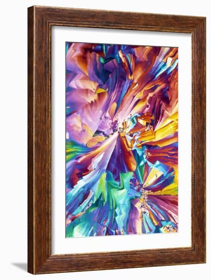 Glutamic Acid Crystals, Light Micrograph-David Parker-Framed Photographic Print