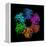 Glutamine Synthetase Enzyme-Laguna Design-Framed Premier Image Canvas