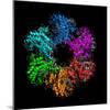 Glutamine Synthetase Enzyme-Laguna Design-Mounted Premium Photographic Print