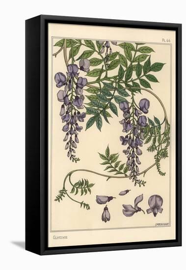 Glycine Botanical Study, 1897 (Lithograph)-Eugene Grasset-Framed Premier Image Canvas