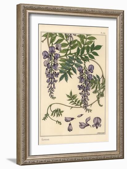 Glycine Botanical Study, 1897 (Lithograph)-Eugene Grasset-Framed Giclee Print