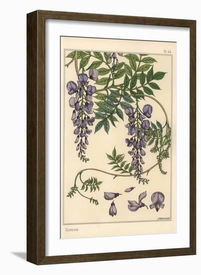 Glycine Botanical Study, 1897 (Lithograph)-Eugene Grasset-Framed Giclee Print