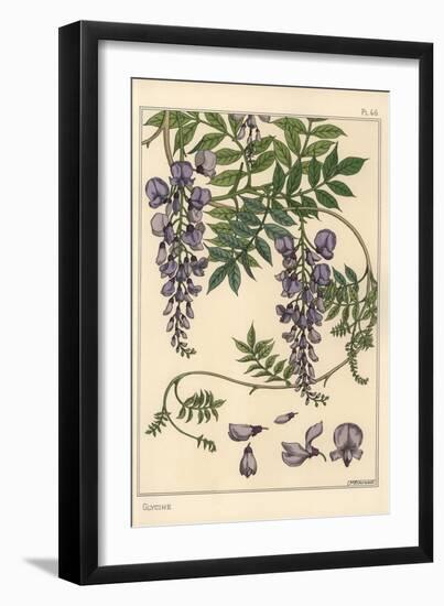 Glycine Botanical Study, 1897 (Lithograph)-Eugene Grasset-Framed Giclee Print