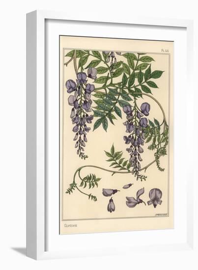 Glycine Botanical Study, 1897 (Lithograph)-Eugene Grasset-Framed Giclee Print