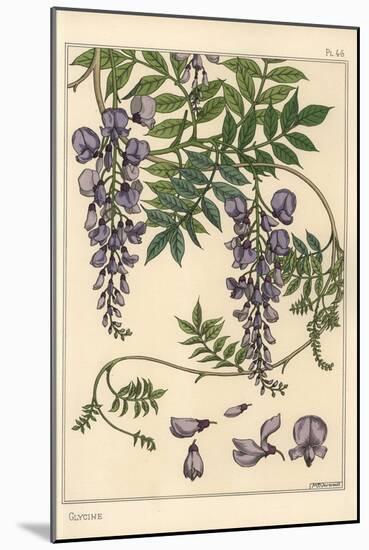 Glycine Botanical Study, 1897 (Lithograph)-Eugene Grasset-Mounted Giclee Print