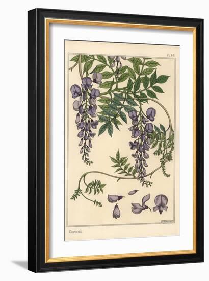 Glycine Botanical Study, 1897 (Lithograph)-Eugene Grasset-Framed Giclee Print