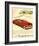 GM Oldsmobile - Futuramic-null-Framed Art Print