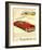 GM Oldsmobile - Futuramic-null-Framed Art Print