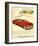 GM Oldsmobile - Futuramic-null-Framed Art Print