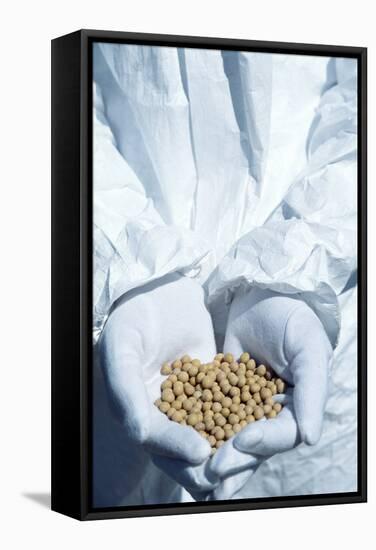 GM Soya Beans-Cristina-Framed Premier Image Canvas