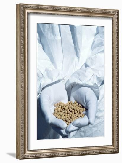 GM Soya Beans-Cristina-Framed Photographic Print
