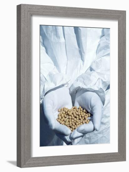 GM Soya Beans-Cristina-Framed Photographic Print