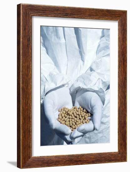 GM Soya Beans-Cristina-Framed Photographic Print