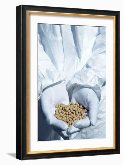 GM Soya Beans-Cristina-Framed Photographic Print