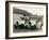 Gmc Trucks - Sanitary Infant Dairy , 1929-Marvin Boland-Framed Giclee Print