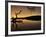 Gnarled Branches Poking out of Calm Lake-Jan Lakey-Framed Photographic Print