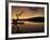 Gnarled Branches Poking out of Calm Lake-Jan Lakey-Framed Photographic Print