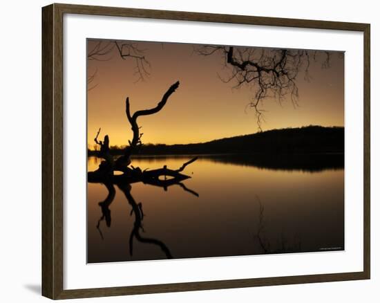 Gnarled Branches Poking out of Calm Lake-Jan Lakey-Framed Photographic Print