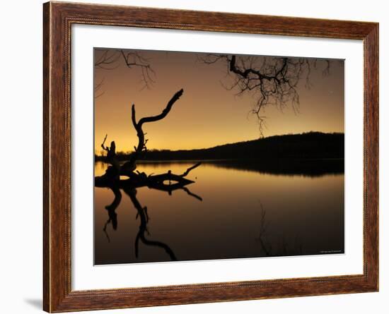 Gnarled Branches Poking out of Calm Lake-Jan Lakey-Framed Photographic Print