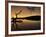 Gnarled Branches Poking out of Calm Lake-Jan Lakey-Framed Photographic Print