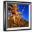 Gnarled Roots and Trunk of Bristlecone Pine, White Mountains National Park, USA-Wes Walker-Framed Photographic Print