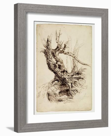 Gnarled Tree Trunk, C.1826 (Pen and Brown Ink over Graphite Pencil on Cream Wove Paper)-Thomas Cole-Framed Giclee Print