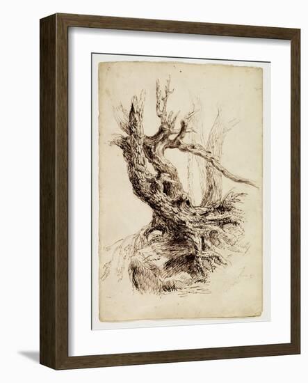 Gnarled Tree Trunk, C.1826 (Pen and Brown Ink over Graphite Pencil on Cream Wove Paper)-Thomas Cole-Framed Giclee Print