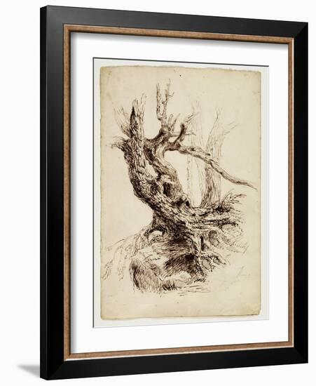 Gnarled Tree Trunk, C.1826 (Pen and Brown Ink over Graphite Pencil on Cream Wove Paper)-Thomas Cole-Framed Giclee Print