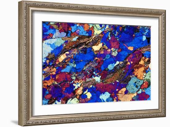 Gneiss, Thin Section, Polarised LM-PASIEKA-Framed Photographic Print