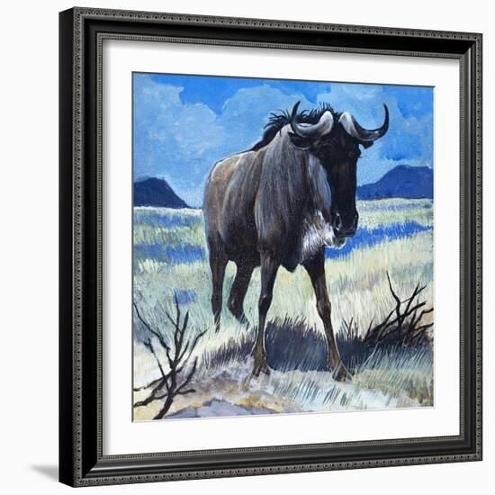 Gnu-G. W Backhouse-Framed Giclee Print