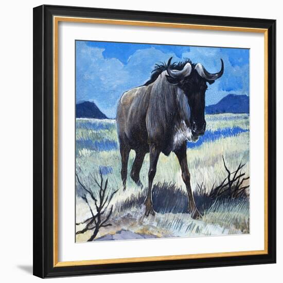 Gnu-G. W Backhouse-Framed Giclee Print