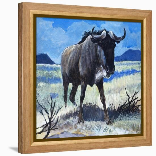 Gnu-G. W Backhouse-Framed Premier Image Canvas