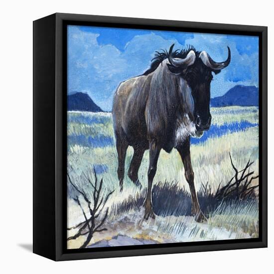 Gnu-G. W Backhouse-Framed Premier Image Canvas