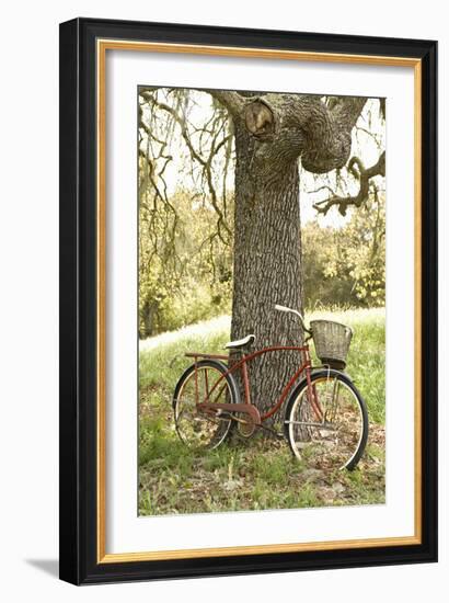 Go by Bike II-Karyn Millet-Framed Photographic Print