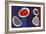 Go Discs, 1999-Colin Booth-Framed Giclee Print