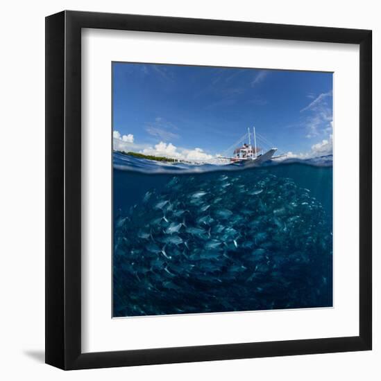 Go Diving?-null-Framed Art Print