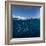 Go diving?-Andrey Narchuk-Framed Photographic Print