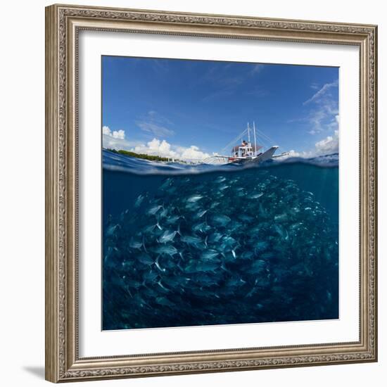 Go diving?-Andrey Narchuk-Framed Photographic Print