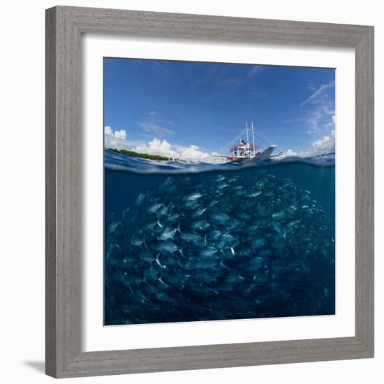 Go diving?-Andrey Narchuk-Framed Photographic Print