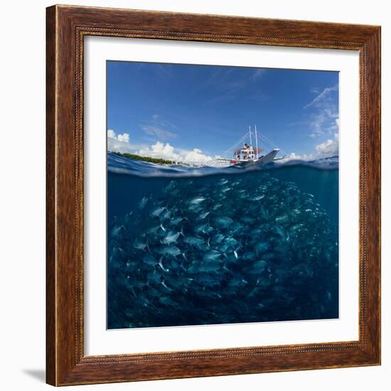 Go diving?-Andrey Narchuk-Framed Photographic Print