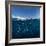 Go diving?-Andrey Narchuk-Framed Photographic Print