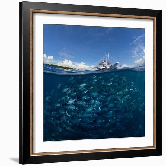 Go diving?-Andrey Narchuk-Framed Photographic Print