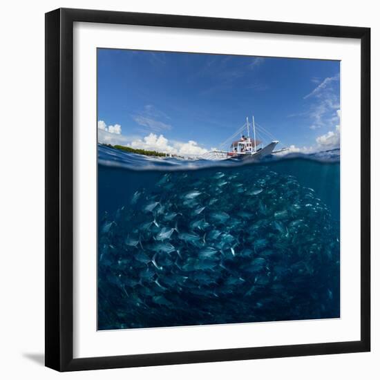 Go diving?-Andrey Narchuk-Framed Photographic Print