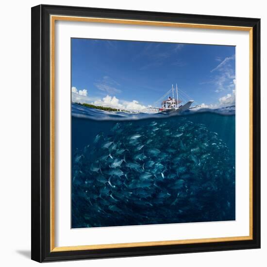 Go diving?-Andrey Narchuk-Framed Photographic Print